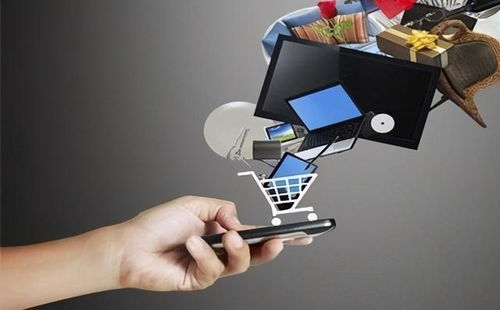 尊享V服務(wù)熱潮下的網(wǎng)絡(luò)購(gòu)物監(jiān)管與互聯(lián)網(wǎng)安全服務(wù)