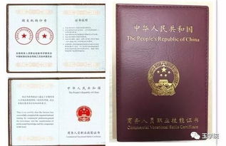 國家技能彩色玉石鑒定評估師（CJE中級）克拉瑪依開班 推動收藏品鑒定評估服務專業化發展
